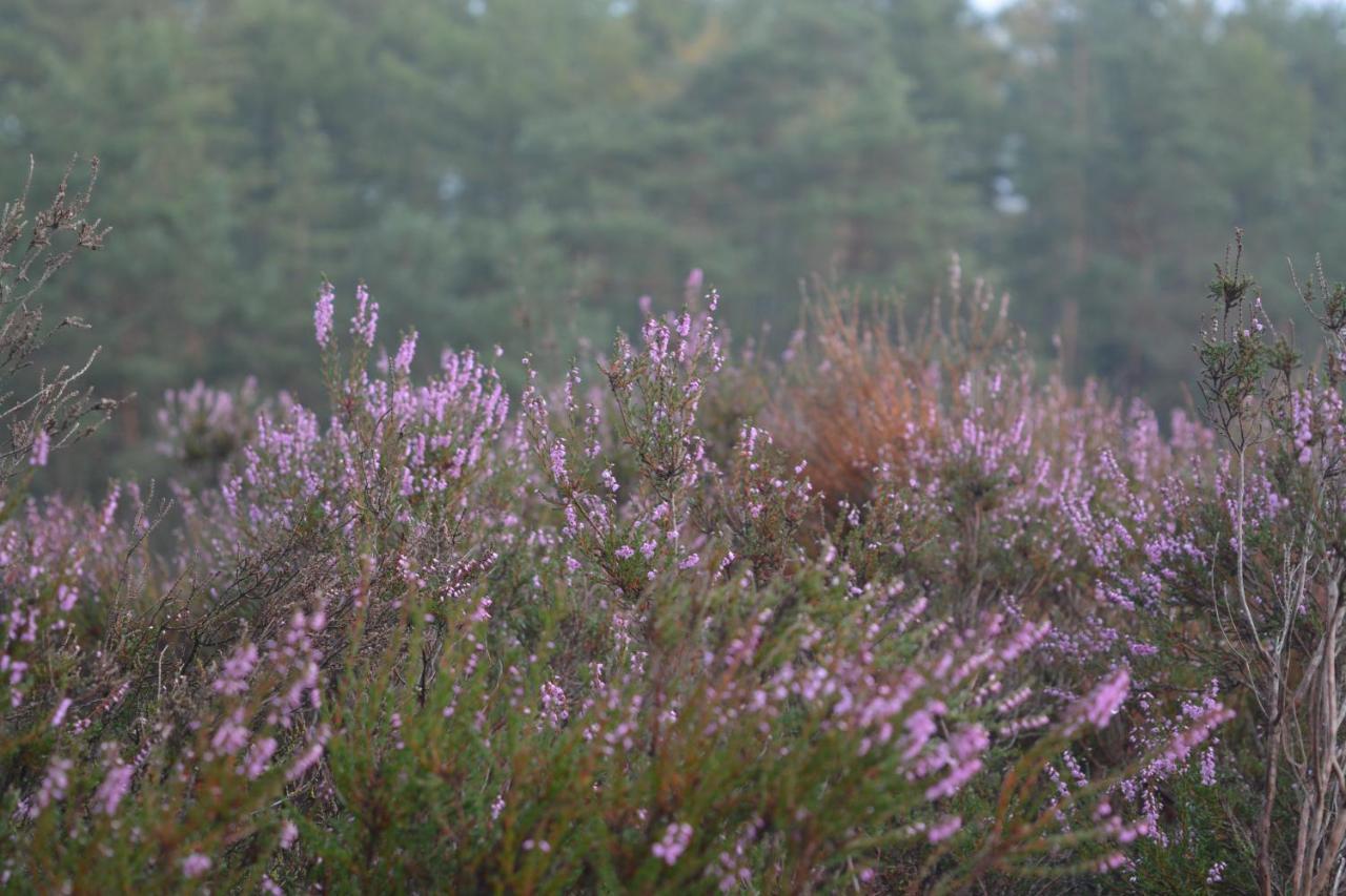 B&B De Loenense Bossen Exterior foto